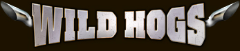 Wild Hogs Title